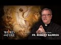 Bishop Barron on Why the Ascension of Jesus Matters