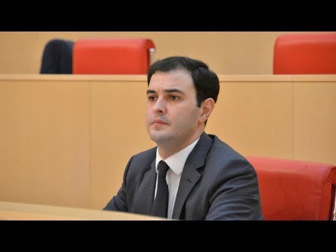ვანო ზარდიაშვილმა დეპუტატის მანდატი დატოვა