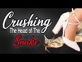 Crushing the Head of the Snake