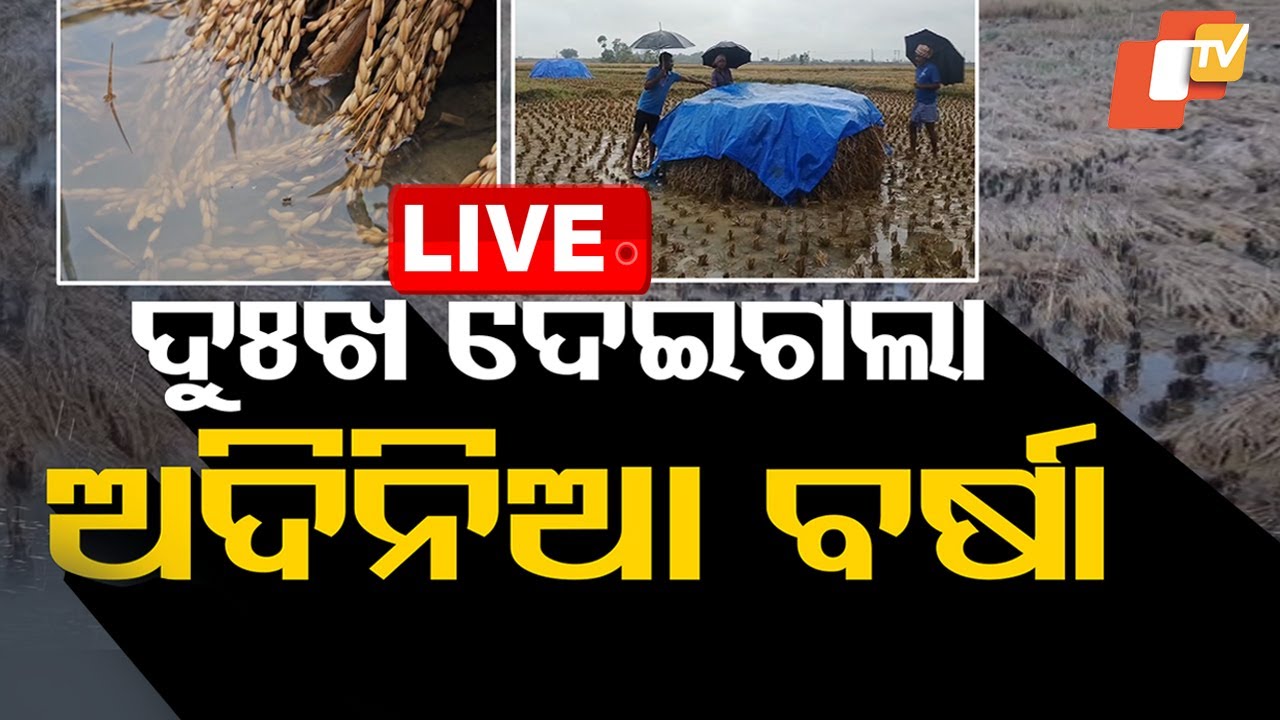 LIVE | ଦୁଃଖ ଦେଇଗଲା ଅଦିନିଆ ବର୍ଷା | Weather News | Odisha Rain Update