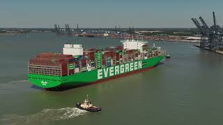 Download Lagu Evergreen Ever Arm 4K MP3 Download Lagu Evergreen Ever Arm 4K MP3
