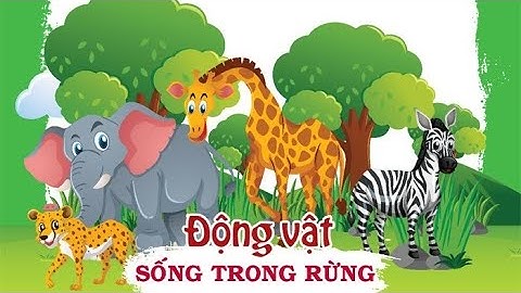 Bé học phát âm 28 con vật trong rừng | Bé học phát âm con vật tiếng Việt, tiếng Anh, tiếng Trung