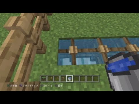 Ps4 マインクラフト 湧き潰し術 畑や道に光源を Youtube