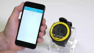 Veo 4 0 Tutorial Final 2