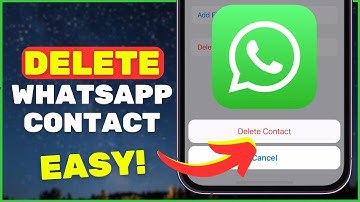 How to Delete WhatsApp Contact