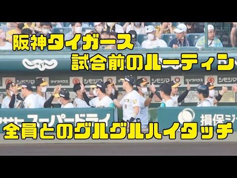 ベンチ内で全員とグルグルハイタッチ！阪神タイガース今季の試合前ルーティン　22.7.23 阪神対横浜