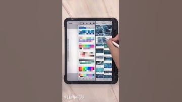 🎨  Hướng Dẫn Tạo Bảng Màu Từ Hình Ảnh Có Sẵn • Color Palettes Procreate Tips For Beginner