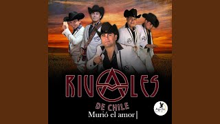 Murio el Amor