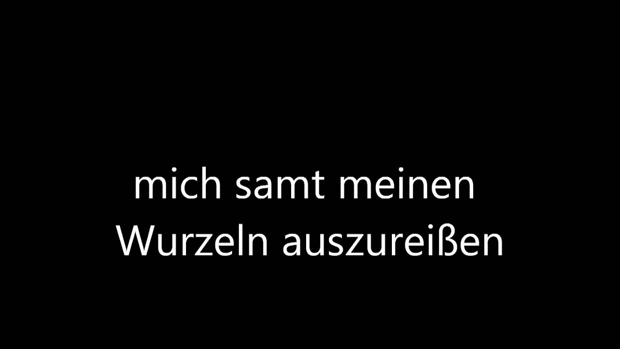 Andre, die das Land so sehr nicht liebten [⭐ LYRICS GER/ENG] [German Traditional Music] [Lyric Song]