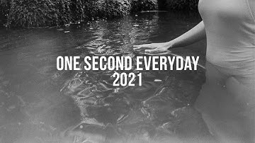 One Second Everyday 2021 | Sofía Añon