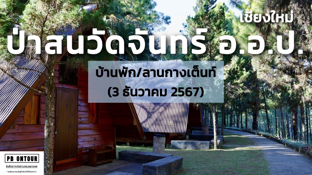 EP.199 ป่าสนวัดจันทร์ องค์การอุตสาหกรรมป่าไม้ (บ้านพัก,ลานกางเต็นท์) จังหวัดเชียงใหม่