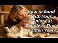 How to Bond With Your Senior Cat Deeply in Their Golden Years