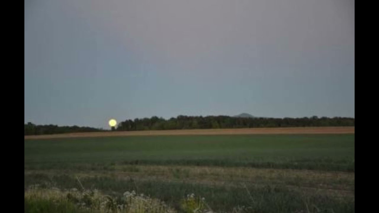 [free] corbin x spooky black type beat 