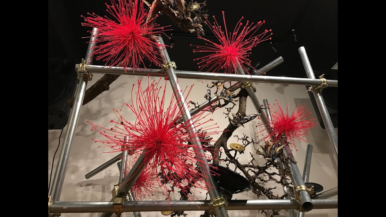 zen garden beauty of nature japanese sound art - YouTube
