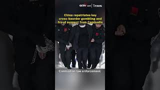 Download Lagu China repatriates key cross-baorder gambling and fraud suspect from Cambodia MP3