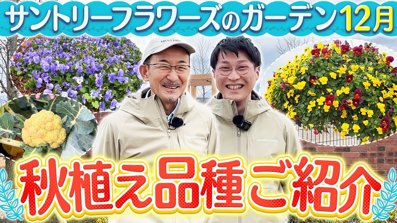 【ガーデンツアー】冬のサントリーフラワーズガーデンの様子ご紹介！