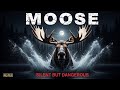 MOOSE: Silent but Dangerous @Wildpulse-z3l