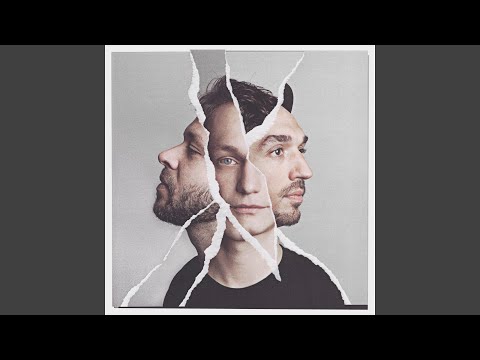Pleitegeier Video