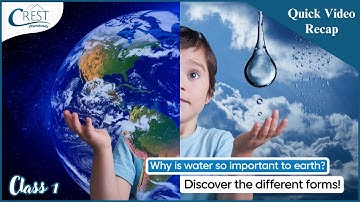 Water Topic for Class 1 | Science Olympiad Study Guide