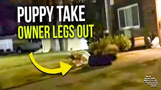 Puppy Decided to Take Owner Legs Out During an Exercise Outside