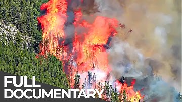 Deadly Disasters: Wildfires | World