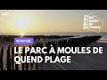 Ref:PxFdh0DR4m0 Vu du ciel : Le parc � moules de Quend Plage