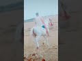 دكالة العونات إقليم سيدي بنور