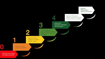The PCP-FMD. Progressive Control Pathway