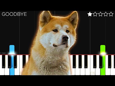 Hachiko - Goodbye | Easy Piano Tutorial