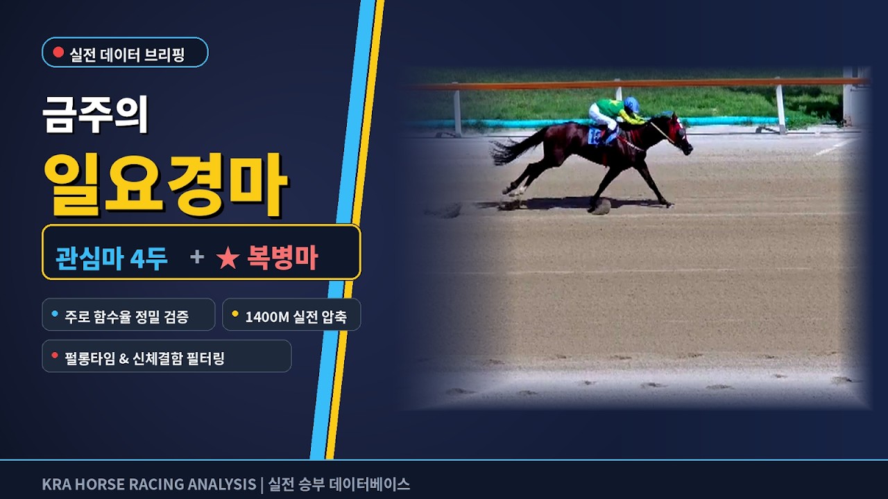 9월13일  일요경마  관심마4두