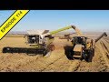 Claas Lexion 8600 Harvesting Rice | 2019 California Rice Harvest!