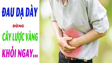 Chữa Bệnh Đau Dạ Dày Bằng Cây Lược Vàng Hiệu Quả Tại Nhà