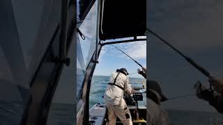 #stabicraft 1550 fisher ,at blackrock