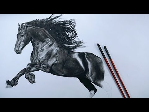How to draw a realistic Horse head Step by Step