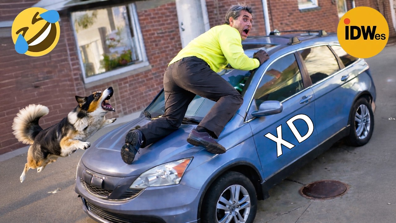 SI TE RÍES PIERDES NIVEL DIOS #409 🤣 VIDEOS DE RISA 😎 HUMOR VIRAL MEXICANO🤣