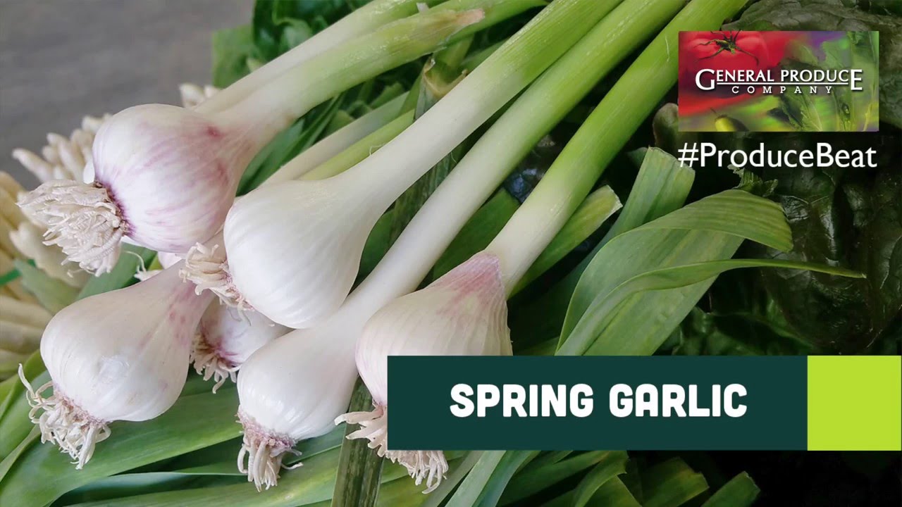 Produce Beat Spring Garlic YouTube