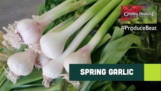 David john talks about spring garlic--what it is, how to select, store
and use it. presented by general produce, sacramento, ca.