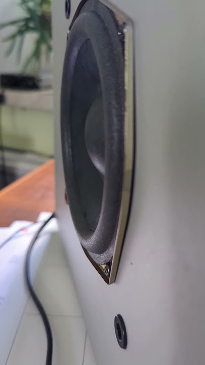 Cheap Small Subwoofer Bass Test Number 2 #speaker #tiktok #basscheck #comment #subscribe #subwoofer