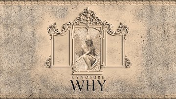 Enigma - Why (Cover by Igor Gorelov 2021) 4K💖