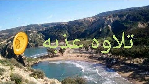 🌱🌱الفاتحة والبقرة وآل عمران والنساء   القارئ سعد الغامدي 🌱🌱