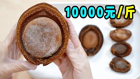 The most expensive abalone in the world！ - 天天要聞