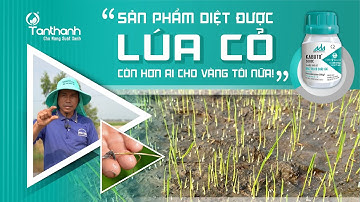Sản phẩm diệt được lúa cỏ, còn hơn ai cho vàng tôi nữa - [CM NNCS]
