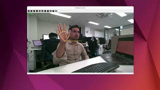 MediaPipe Landmark Detection – Working Demo