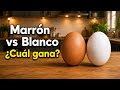¿Realmente Hay una Diferencia entre los Huevos Marrones y los Huevos Blancos? (Además del color)