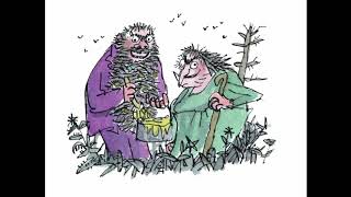 The Twits By Roald Dahl  Audiobook Read By Roger Blake