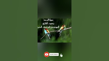 ألا بذكر الله تطمئن القلوب. تلاوة مؤثرة هادئة مع صوت المطر للقارئ المهندس تامر سيف الدين