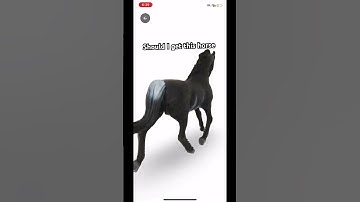 ???? #music #aicover #horse #eurovision #equestrian #horsegirl #lifeisbutadream #pony