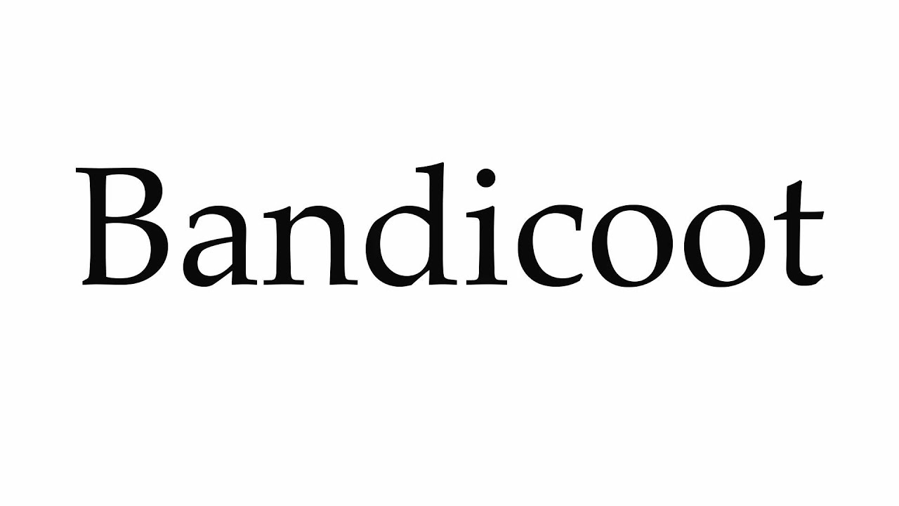 How To Pronounce Bandicoot