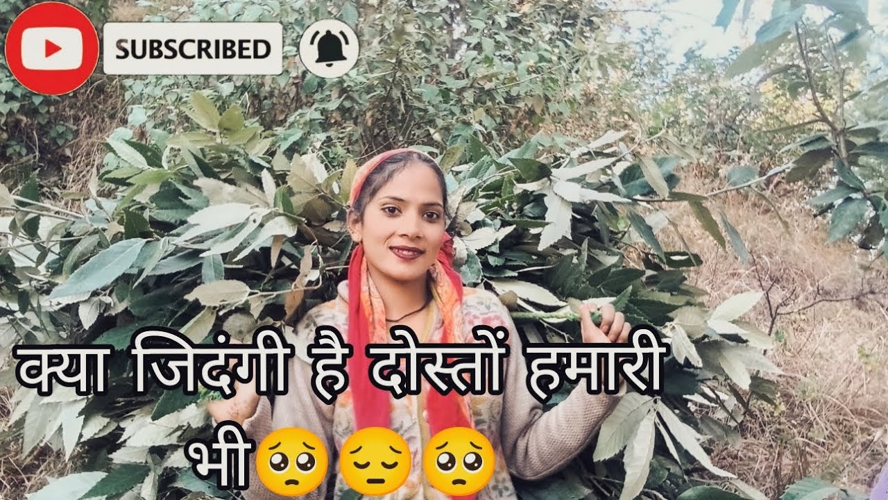 Pahado me hai itna sara kam kaj || kam kar kar ke thak gyi 