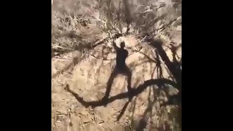 Backrooms (Found Footage #2)